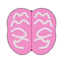 LLM Brain